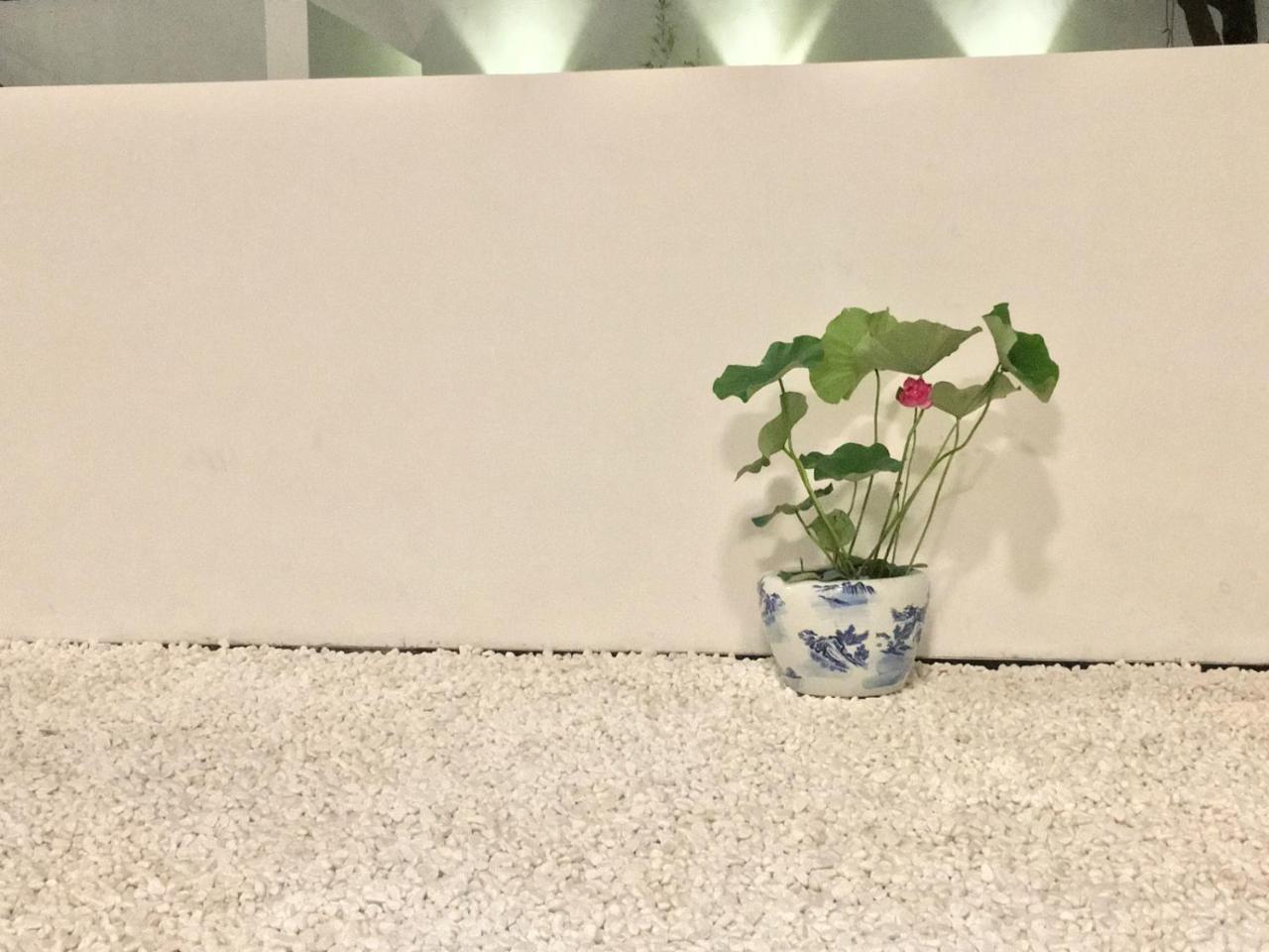 Hidden Garden International Youth -near Oriental Pearl &lujiazui -garden Social Area -bar -cafe -free Laundry Luggage Storage -24h Front Desk -english Service Hostel